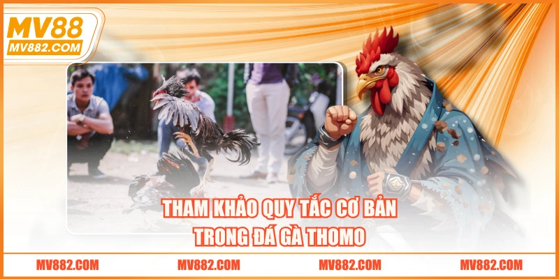 Tham khảo quy tắc cơ bản trong đá gà Thomo